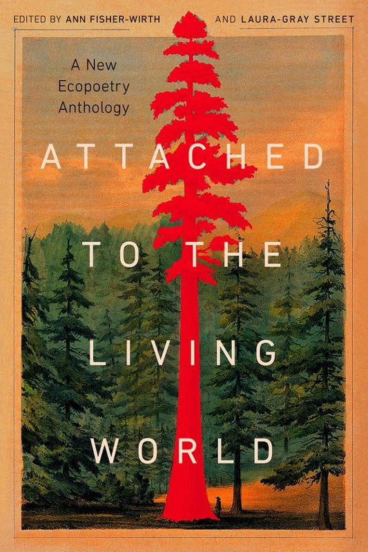 Attached to the Living World: A New Eco poetry Anthology PB