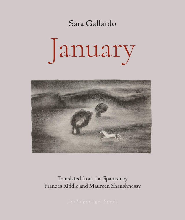 January by Sara Gallardo PB