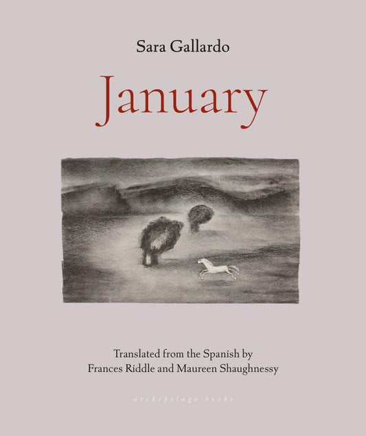 January by Sara Gallardo PB