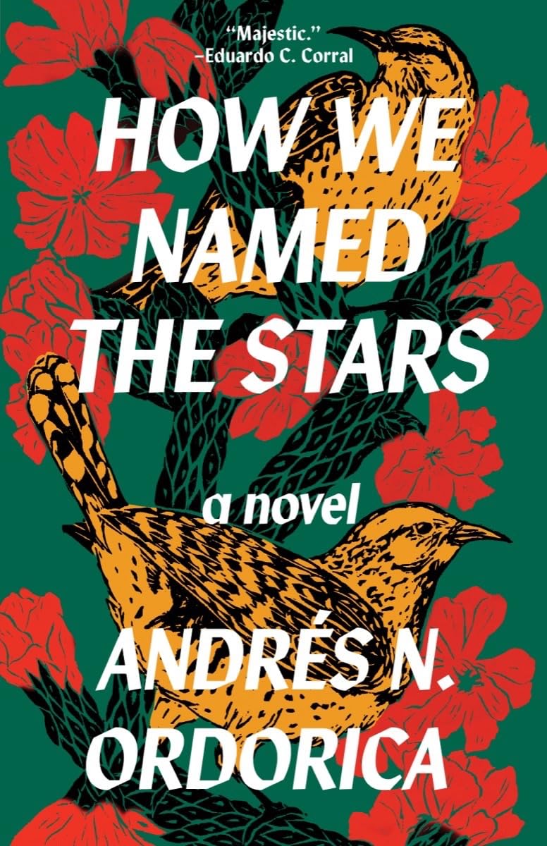 How We Named the Stars by Andres N. Ordorica PB