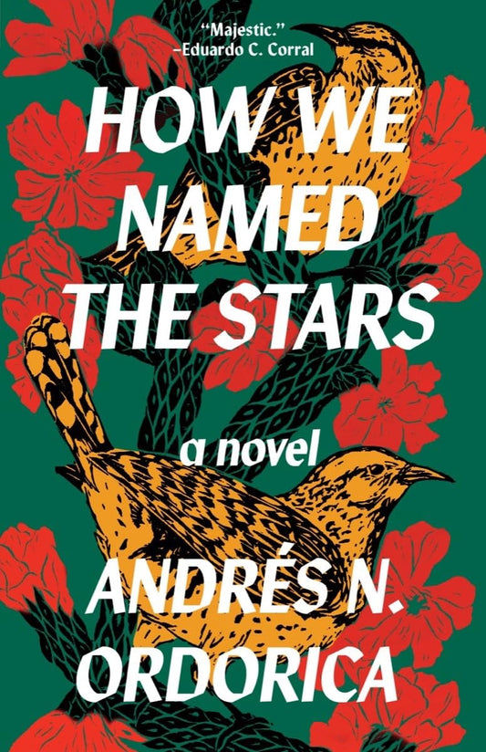 How We Named the Stars by Andres N. Ordorica PB