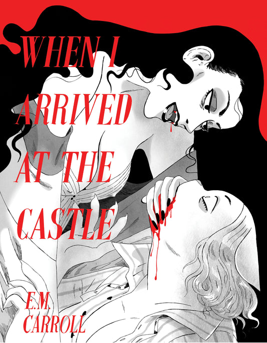 When I Arrived At The Castle (2nd Edition) by E.M. Carroll PB